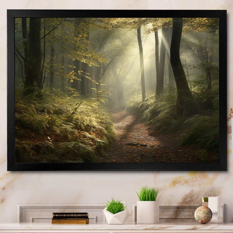 Forêt, art mural sur toile, Misty Woodland Trail - Misty Trail in the Woods I, Cadre noir, H 30 po x l 40 po x P 1,5 po