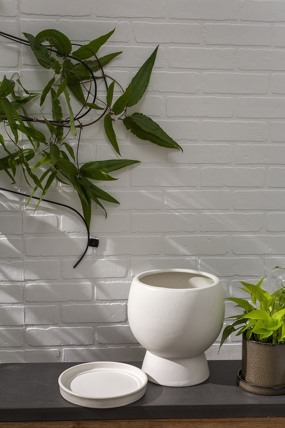 Goodlow Ceramic Pot Planter, 10.25" H x 9" W x 8.75" D
