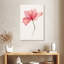 Fleur rose Harnek translucide-108252148