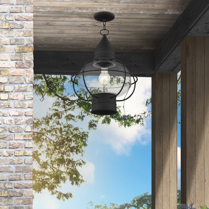 Aster 1 -Bulb 14.75" H Outdoor Hanging Lantern, Black