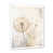 Cadre simple blanc