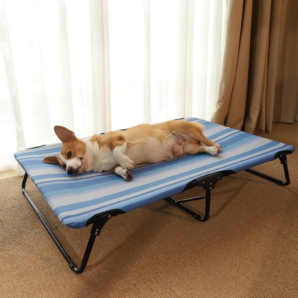 Coleman folding outlet dog bed