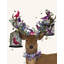 Art sur toile tendue avec toile Trinx Fab Funky-638457477