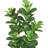 Artificial Fiddle Leaf Fig Tree in Pot