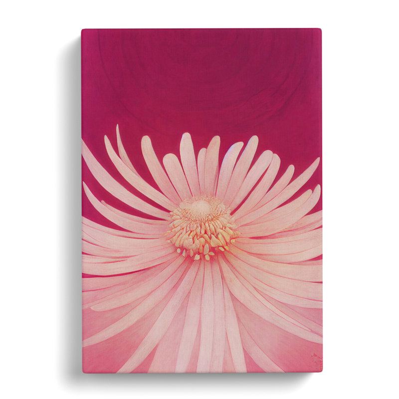 Chrysanthemum Flower - Wrapped Canvas, 76cm H x 50cm W x 3cm D