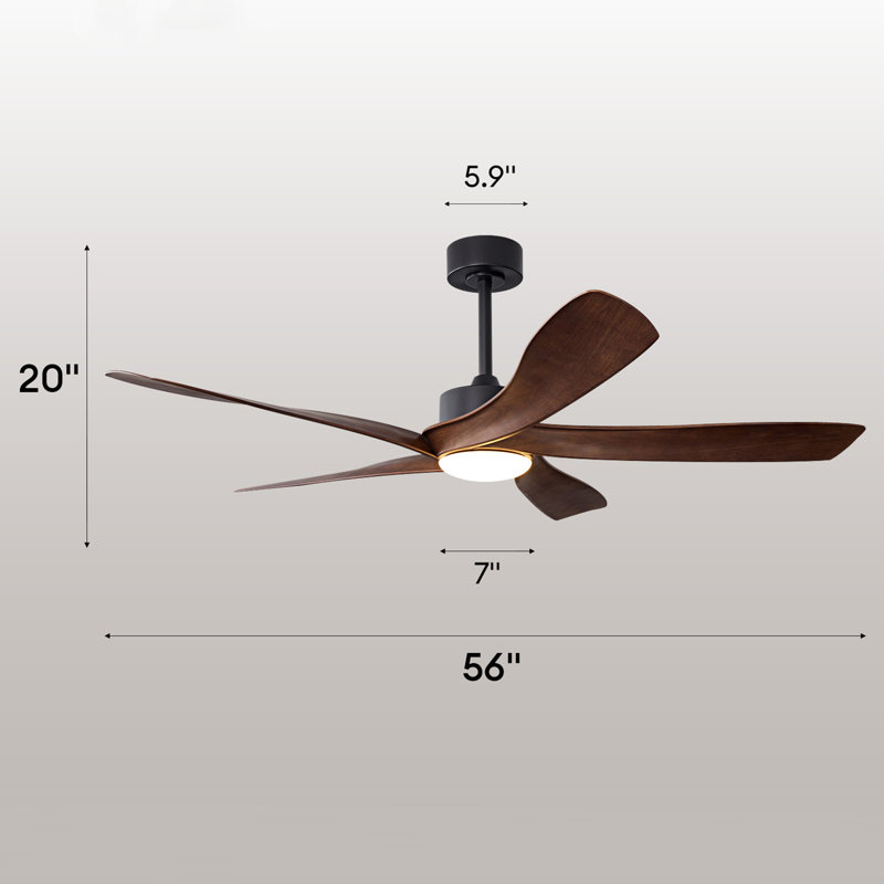 56" 5-Blades Ceiling Fan with Light