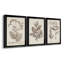 Antique sépia botanicals iv - ensemble de 3 peintures sur toile encadrées-1332138349-1332138351