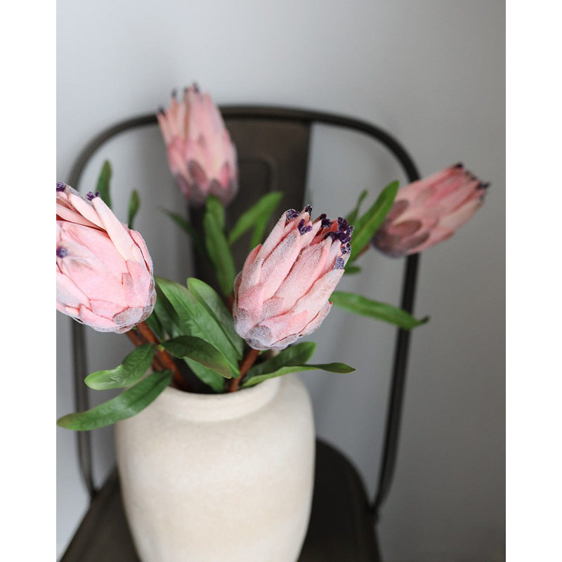 Pink Mink Protea 29"