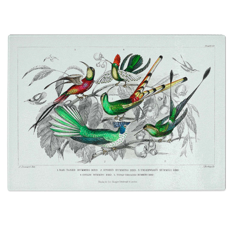 Tempered Glass Collection of Hummingbirds Pl. 60 Chopping Board, 28.5 cm W x 20 cm L