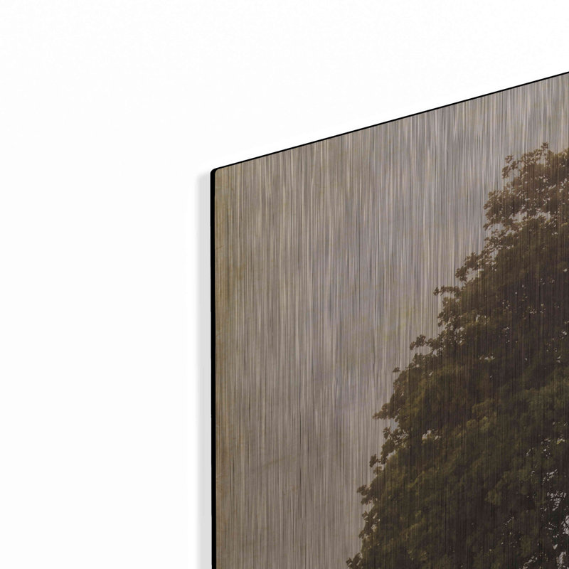 «The Hopeful Oak» par Debra Van Swearingen, H 24 po x l 36 po