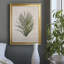 Palmier botanique I - impression-2113867225-2113867224