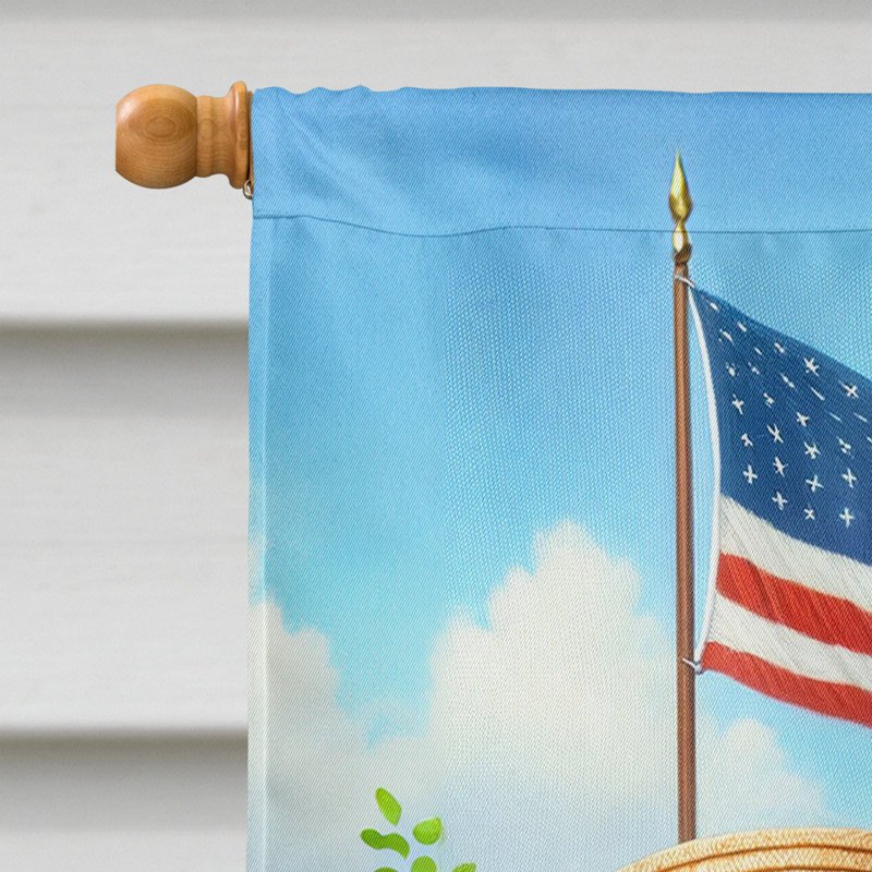 Drapeau «All American House», Terre-neuve