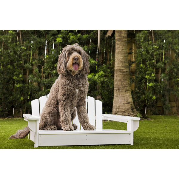 IndoorOutdoor Sunbrella Dog Bed Tucker Murphy Pet Color: Mist, Size: X-Large (54 W x 42 D x 5 H)