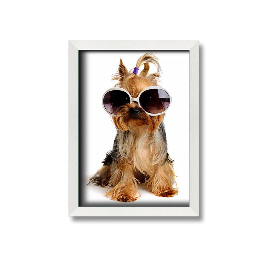 Gerahmtes Leinwandbild Yorkshire Terrier Dog Glamour