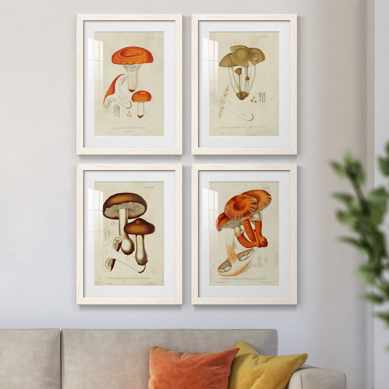 Champignon Variétés, H 20 po x l 68 po x P 1,5 po, Cadre blanc
