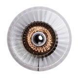 New Wave 1 - Light Flush Mounted Sconce