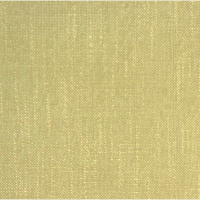 SAMPLE-Allegro Fabric
