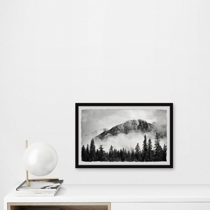 Forest On Fog - Single Picture Frame Print, 41cm H x 61cm W x 3.81cm D