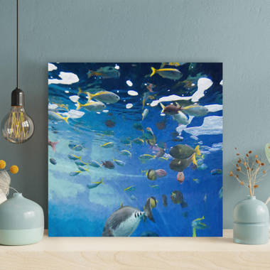 A School of Fish Near Water Surface - 1 Piece Square Graphic Art Print On Wrapped Canvas Rosecliff Heights Size: 12 H x 12 W