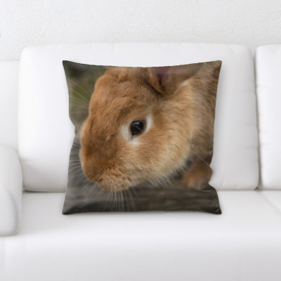 Coussin en lapin