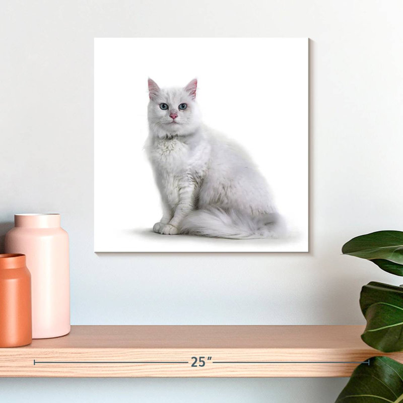 Crowle Elegant White Cat, 16" H x 16" W