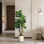 Artificial Fiddle Leaf Fig Tree in White Decor Pot-112751566