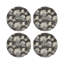 Leopard Walk Pebble 16" Vinyl Placemat-50817759