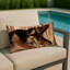 Coussin décoratif intérieur et extérieur Turkish Angora Cats-115067839-115067836