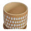 Meissa Handmade Ceramic Pot Planter-876740128