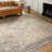 Claribel Oriental Indoor Rug-339331621