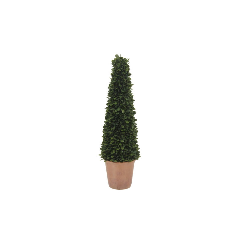 24" Artificial Boxwood Plant in Tapered Pot