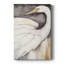 ANIMALS Series CCGLXXV - Gallery Cavas