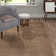 Fancy Brown Rug