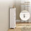 Freestanding Bathroom Cabinet