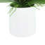 Orchids Arranged in Fiberstone Planter-427188113