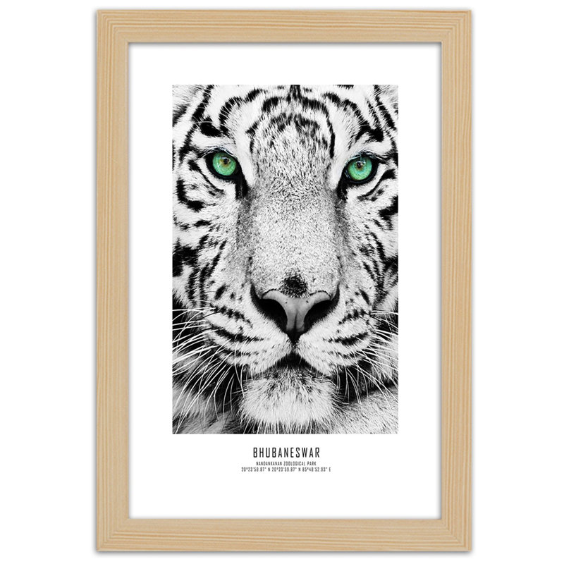 African Tigers - Single Picture Frame Print, 100cm H x 70cm W, Light Brown