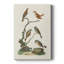 Oiseaux antiques dans la nature IV - galerie Cavas sur mesure-1890550756