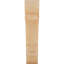 Attelle de genou olympique-29309934-31230592-70298169