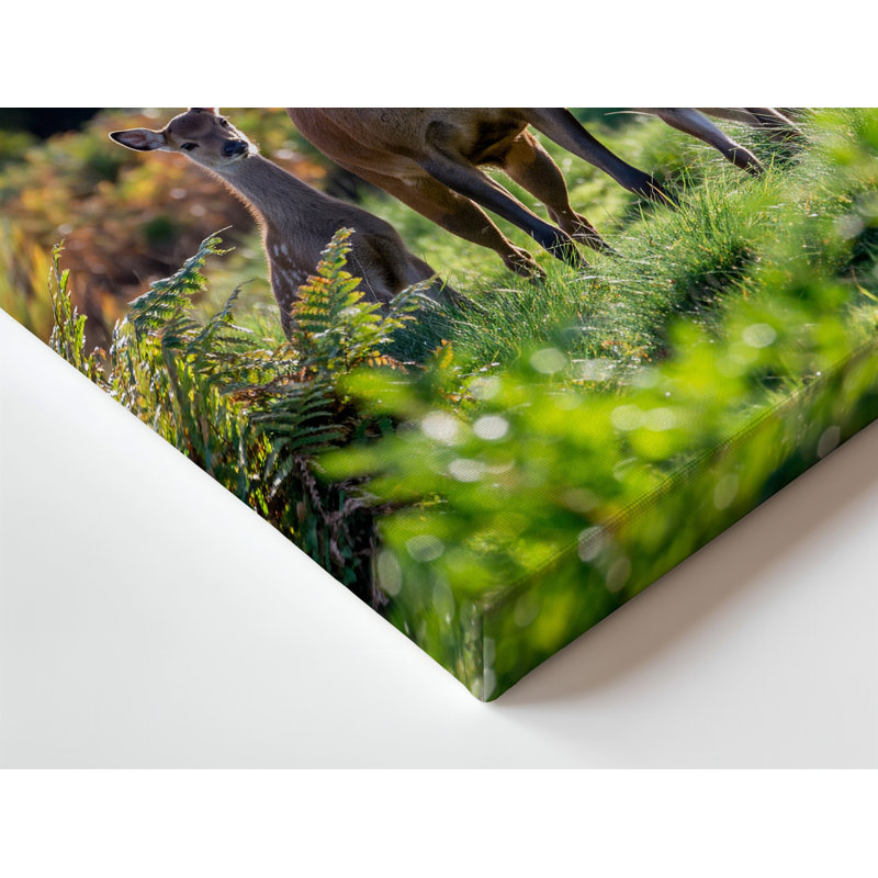 Toile dans un pré vert éclatant illuminé par la lueur dorée, art du soleil doux, H 12 po x l 9 po