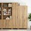 Accent Chest-1897418908-1899289284