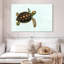 Bébé tortue Brampt-108694120
