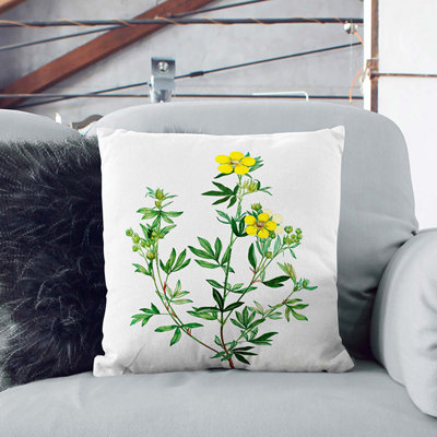 Square Cushion