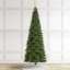 Sapin de Noël vert Aldred Radiant Evergreen-1684586857