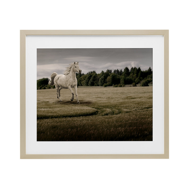 «Galloper Through Horse Field», reproduction d'art sous verre encadrée, conception de Marcus Prime, H 13 po x l 16 po