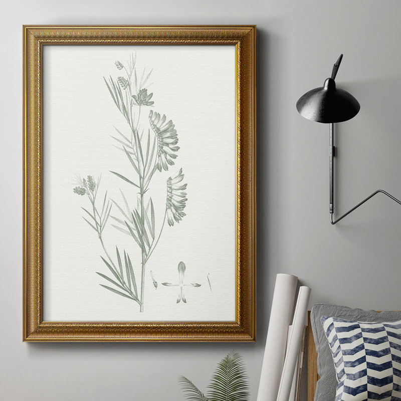 Toile encadrée de qualité supérieure Botanical Study In Sage, H 20 po x l 16 po x P 2,5 po