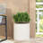 MGO PLANTER