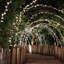 Ahkeel 1090cm Solar Powered 100 - Bulb Mini String Light (End to End Connectable)-68333509