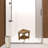 Ripley 22" Compact Teak Wide Corner Shower Outdoor Bench With Shelf In Natural Finish