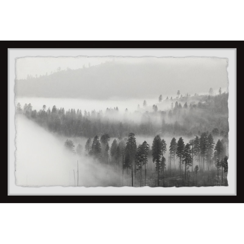 The Fog Is Coming - Single Picture Frame Print, 20cm H x 30cm W x 3.81cm D