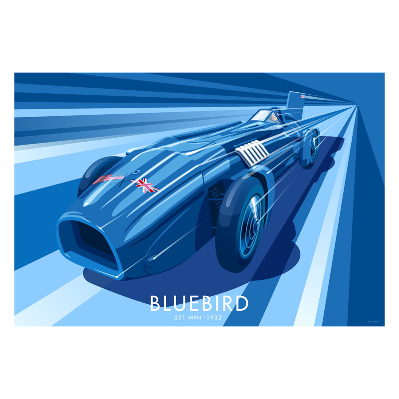 Bluebird by Stephen Millership - No Frame Print, 34cm H x 40cm W x 1cm D